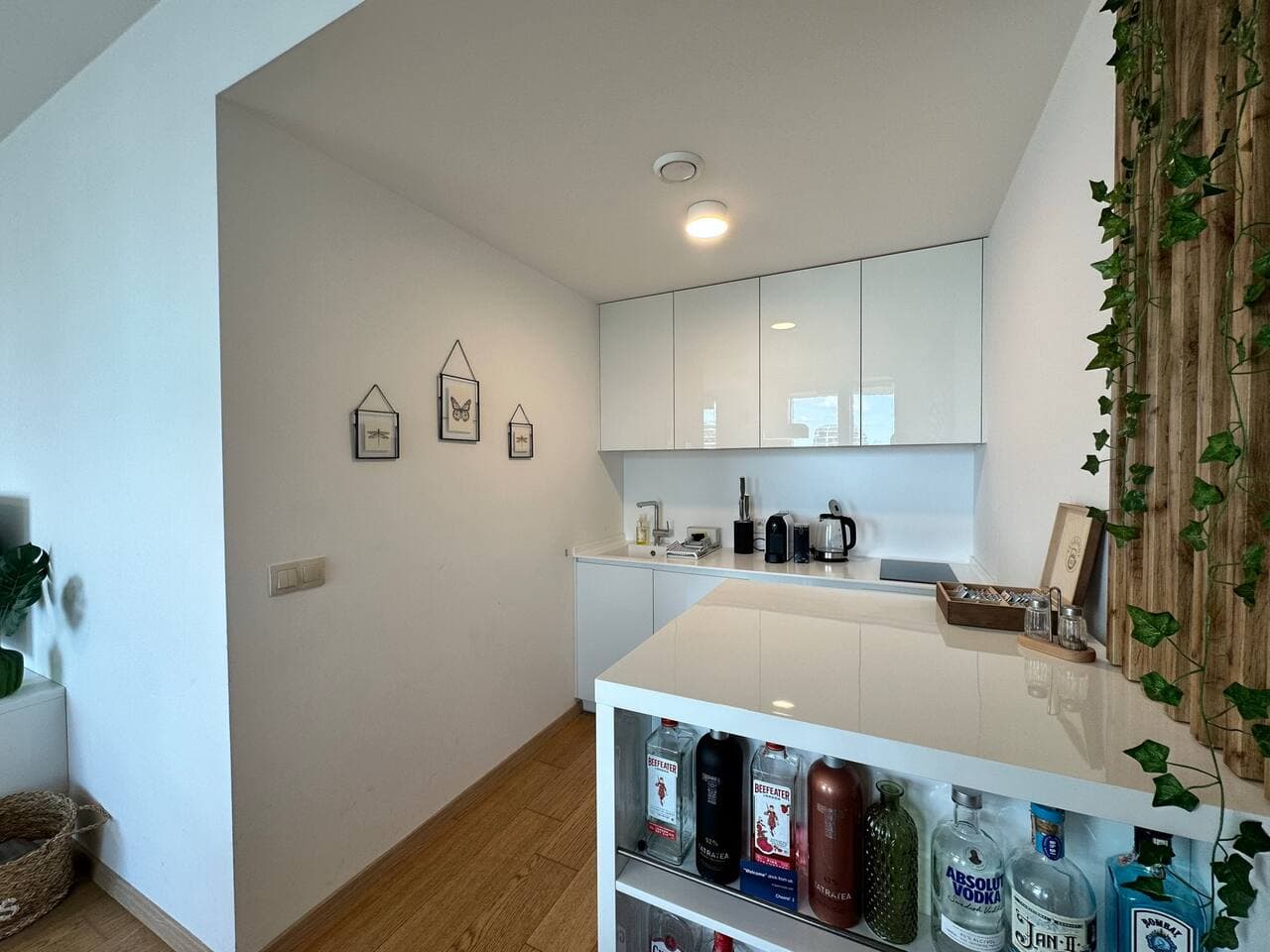 2 apartments in the DownTown