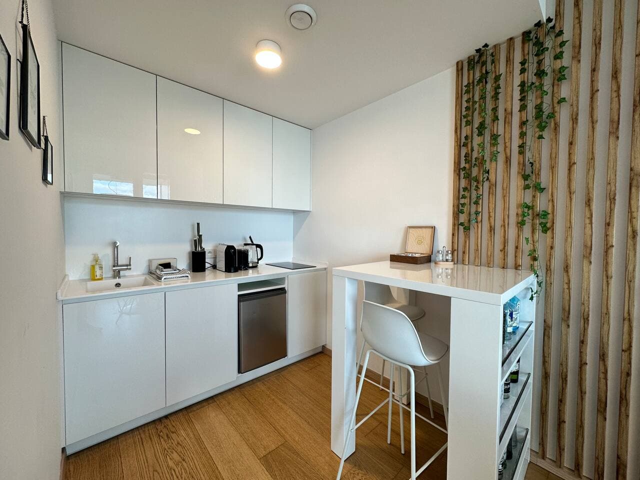 2 apartments in the DownTown