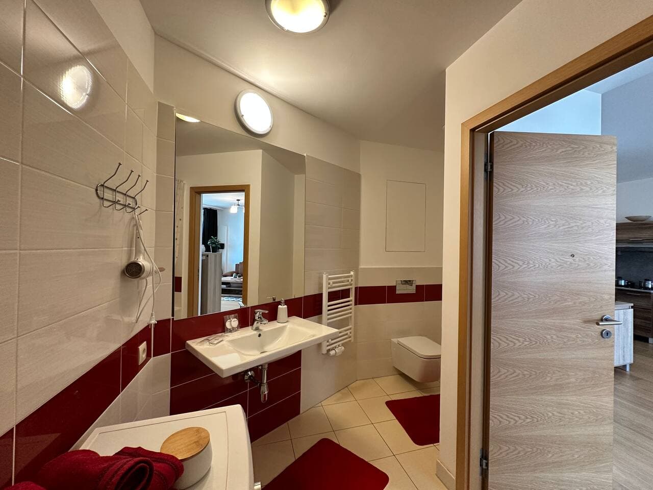 2 apartments in the DownTown