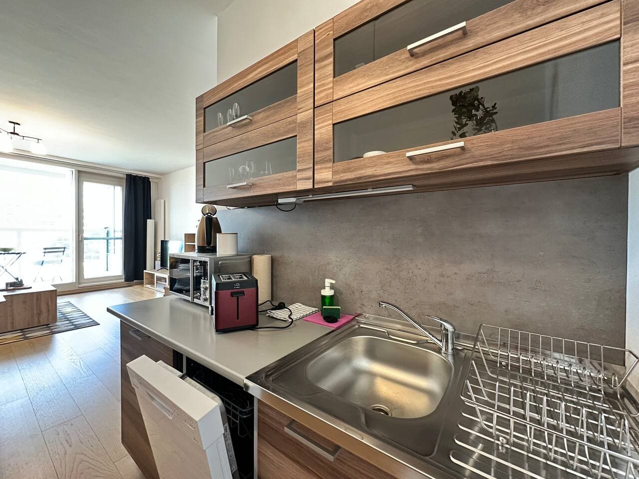 2 apartments in the DownTown
